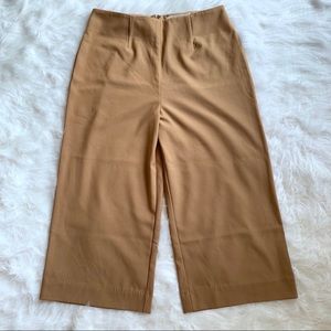 Forever21 | Dressy Wide Leg Crop Pants (A55)